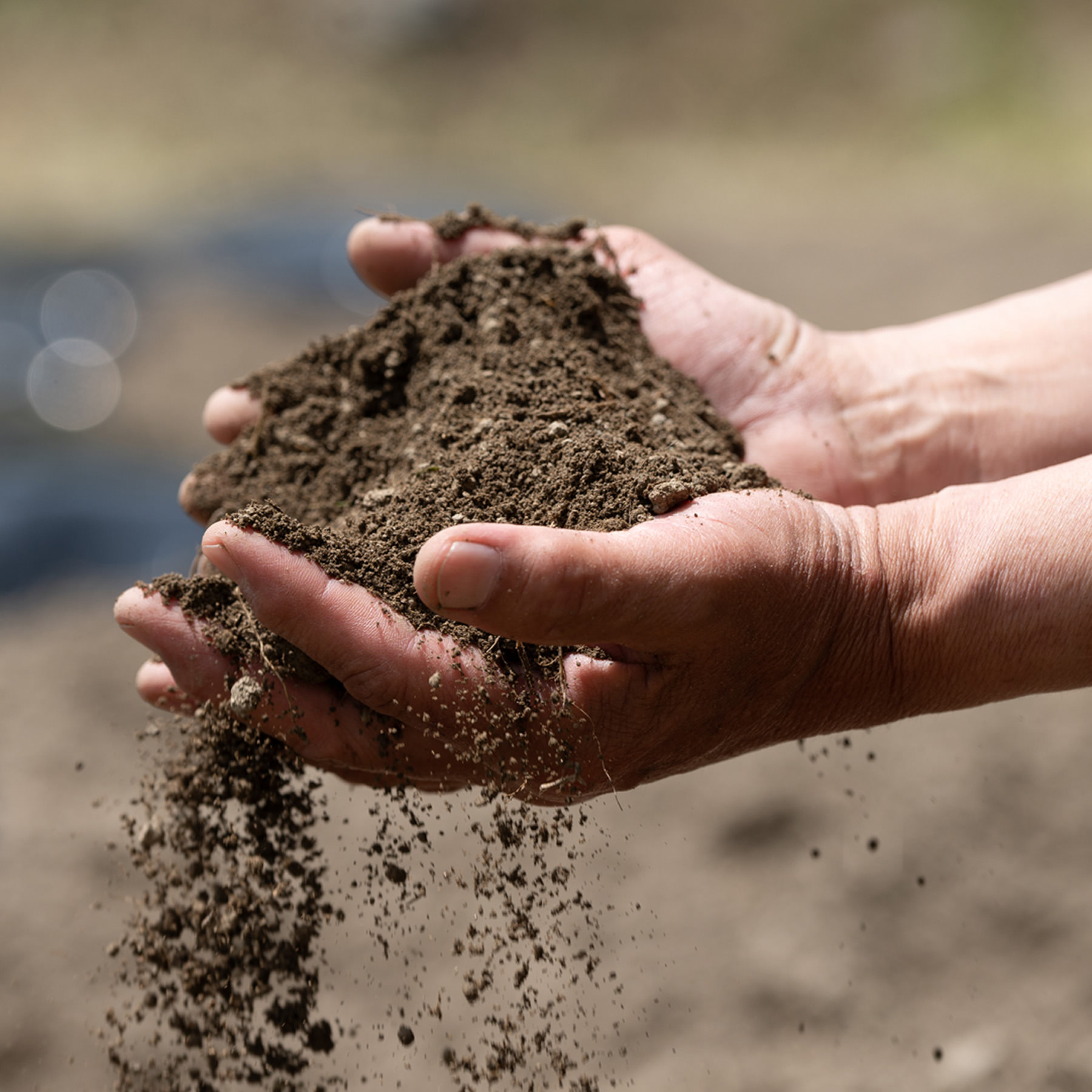 白糸の三年醤油