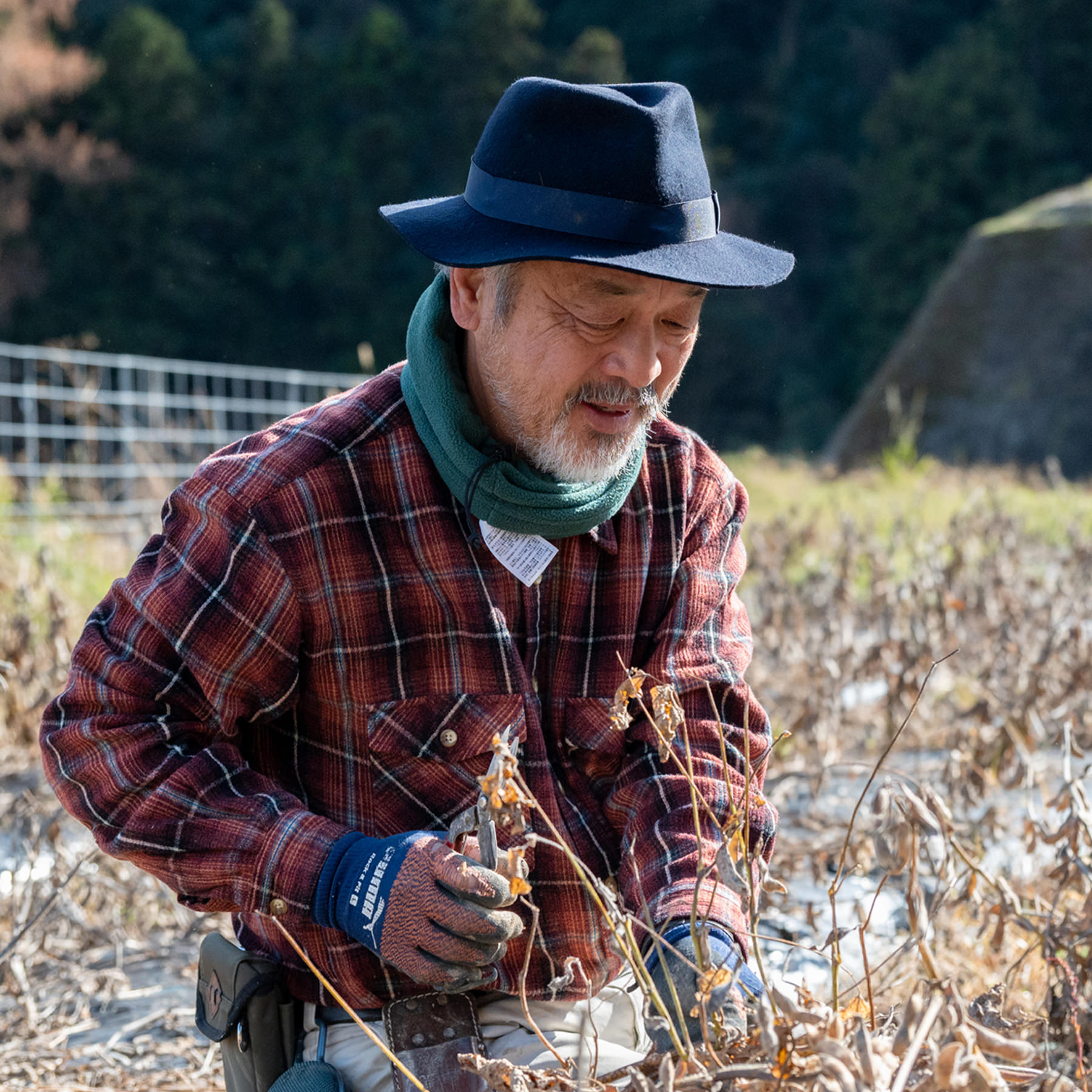白糸の三年醤油